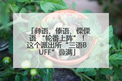 彝语、傣语、傈僳语 “轮番上阵”！这个派出所“三语BUFF”叠满