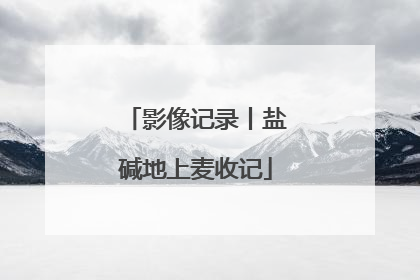 影像记录丨盐碱地上麦收记