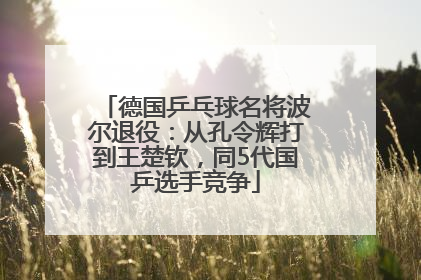 德国乒乓球名将波尔退役：从孔令辉打到王楚钦，同5代国乒选手竞争