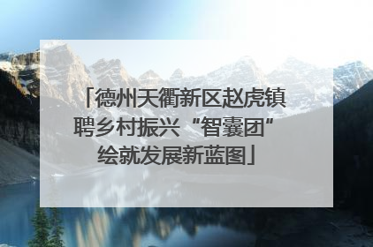 德州天衢新区赵虎镇聘乡村振兴“智囊团” 绘就发展新蓝图