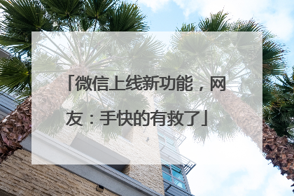 微信上线新功能，网友：手快的有救了