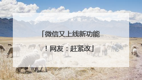 微信又上线新功能！网友：赶紧改