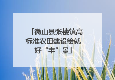 微山县张楼镇高标准农田建设绘就好“丰”景