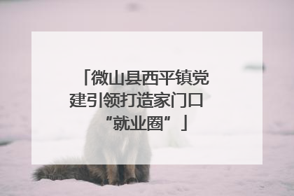 微山县西平镇党建引领打造家门口“就业圈”