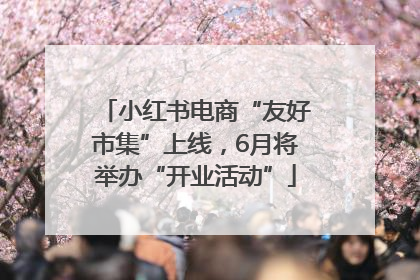 小红书电商“友好市集”上线，6月将举办“开业活动”