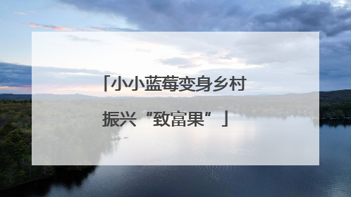 小小蓝莓变身乡村振兴“致富果”