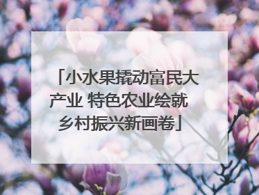 小水果撬动富民大产业 特色农业绘就乡村振兴新画卷