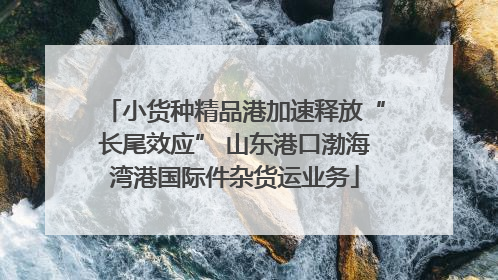 小货种精品港加速释放“长尾效应” 山东港口渤海湾港国际件杂货运业务
