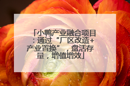 小鸭产业融合项目：通过“厂区改造+产业置换”，盘活存量，增值增效
