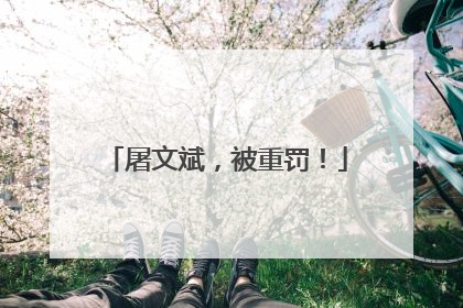 屠文斌，被重罚！