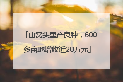 山窝头里产良种，600多亩地增收近20万元
