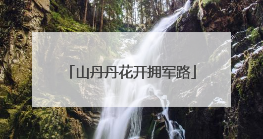 山丹丹花开拥军路