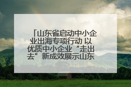 山东省启动中小企业出海专项行动 以优质中小企业“走出去”新成效展示山东产业发展新形象