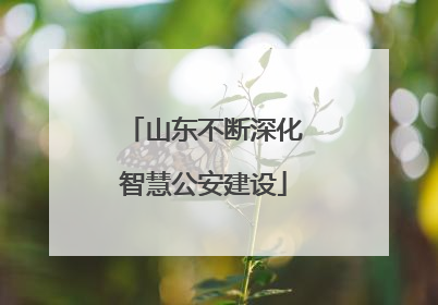 山东不断深化智慧公安建设