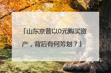 山东京普以0元购买资产，背后有何筹划？