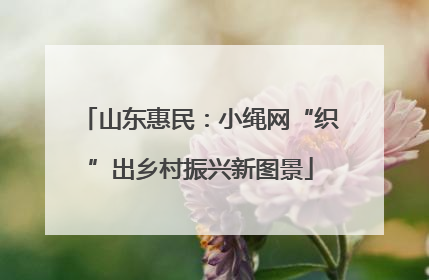 山东惠民：小绳网“织”出乡村振兴新图景