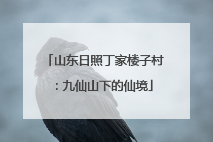 山东日照丁家楼子村：九仙山下的仙境