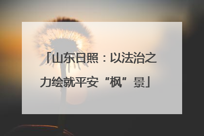 山东日照：以法治之力绘就平安“枫”景
