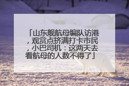 山东舰航母编队访港，观赏点挤满打卡市民，小巴司机：这两天去看航母的人数不得了