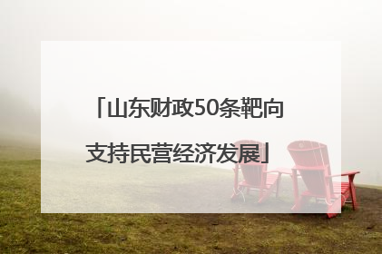 山东财政50条靶向支持民营经济发展