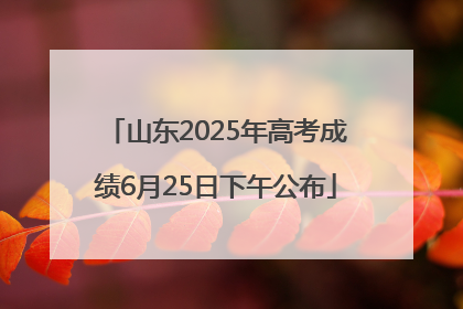 山东2025年高考成绩6月25日下午公布