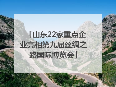 山东22家重点企业亮相第九届丝绸之路国际博览会