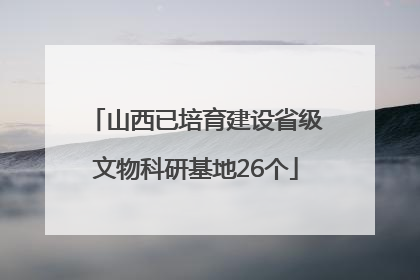 山西已培育建设省级文物科研基地26个