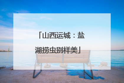 山西运城：盐湖捞虫别样美