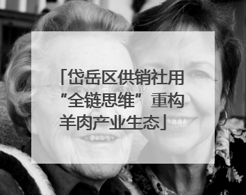 岱岳区供销社用“全链思维”重构羊肉产业生态