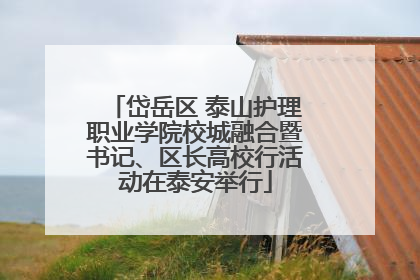 岱岳区 泰山护理职业学院校城融合暨书记、区长高校行活动在泰安举行