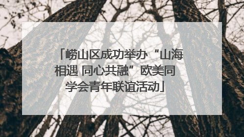 崂山区成功举办“山海相遇 同心共融”欧美同学会青年联谊活动