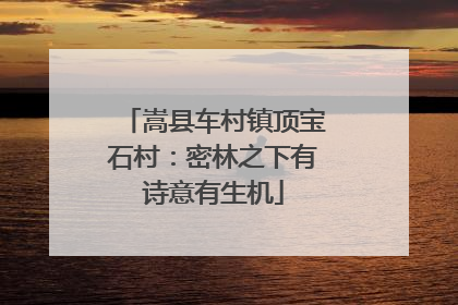 嵩县车村镇顶宝石村：密林之下有诗意有生机