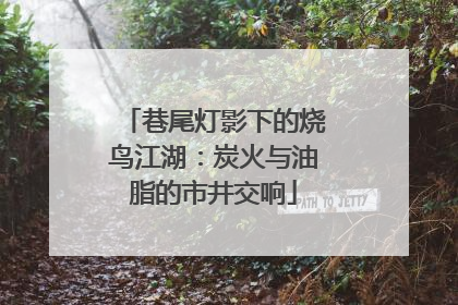 巷尾灯影下的烧鸟江湖：炭火与油脂的市井交响