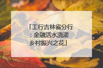 工行吉林省分行：金融活水浇灌 乡村振兴之花