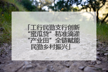 工行民勤支行创新“蜜瓜贷”精准滴灌“产业田”全链赋能民勤乡村振兴