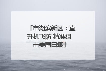 市湖滨新区：直升机飞防 精准狙击美国白蛾
