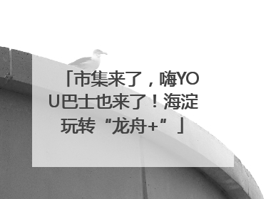 市集来了，嗨YOU巴士也来了！海淀玩转“龙舟+”