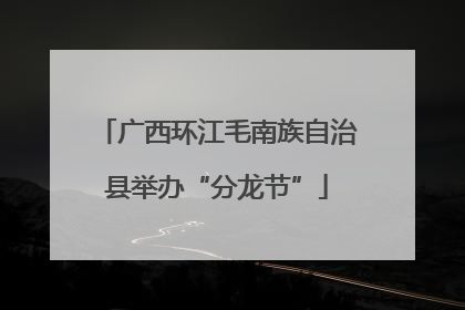 广西环江毛南族自治县举办“分龙节”