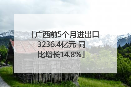 广西前5个月进出口3236.4亿元 同比增长14.8%