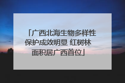 广西北海生物多样性保护成效明显 红树林面积居广西首位