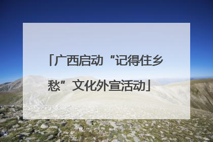 广西启动“记得住乡愁”文化外宣活动