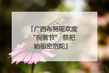 广西布努瑶欢度“祝著节” 祭祀始祖密洛陀