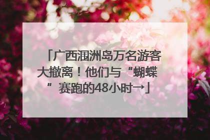 广西涠洲岛万名游客大撤离！他们与“蝴蝶”赛跑的48小时→