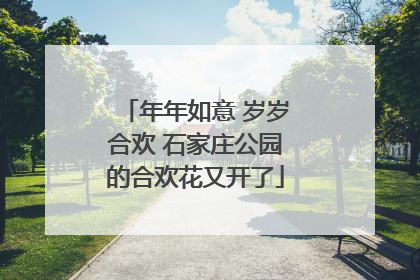 年年如意 岁岁合欢 石家庄公园的合欢花又开了