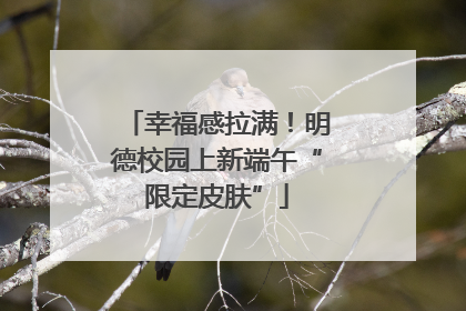 幸福感拉满！明德校园上新端午“限定皮肤”