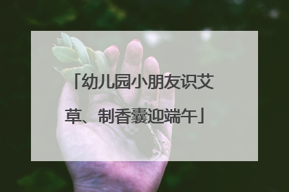 幼儿园小朋友识艾草、制香囊迎端午