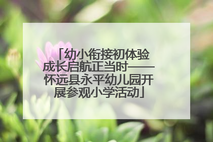 幼小衔接初体验 成长启航正当时——怀远县永平幼儿园开展参观小学活动