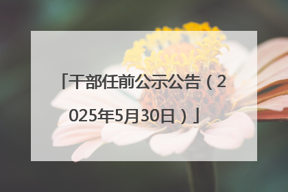 干部任前公示公告（2025年5月30日）