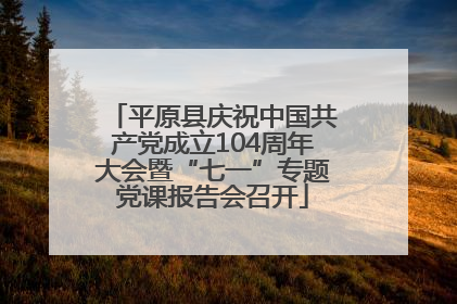 平原县庆祝中国共产党成立104周年大会暨“七一”专题党课报告会召开