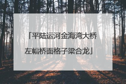 平陆运河金海湾大桥左幅桥面格子梁合龙